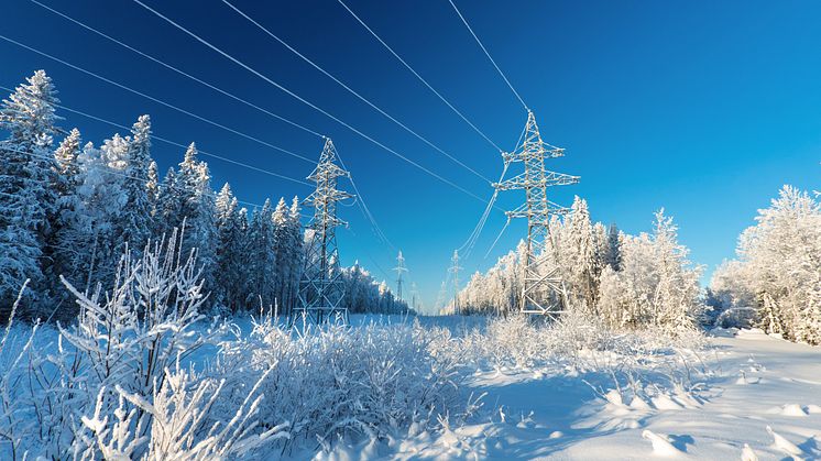 Foto: iStock