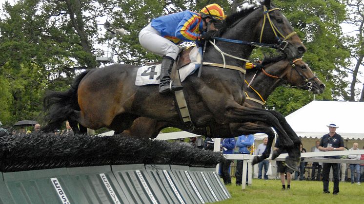 Söndag: Svenskt Grand National på Strömsholm
