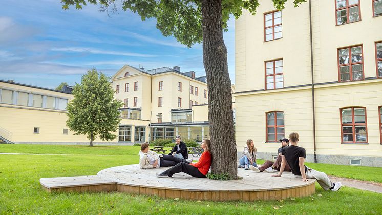 Foto: Johan Wahlgren