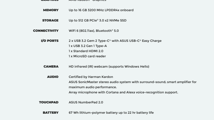 ZenBook 14 (UM425) (AMD)