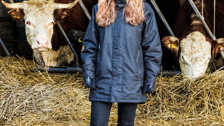 Isabel Moretti, VD Svenskt Kött