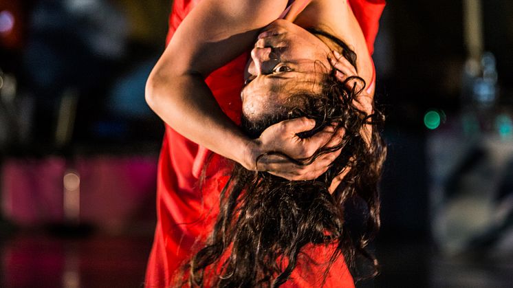 Cirkus Cirkör : Underart - hyllning till en kraschlandning