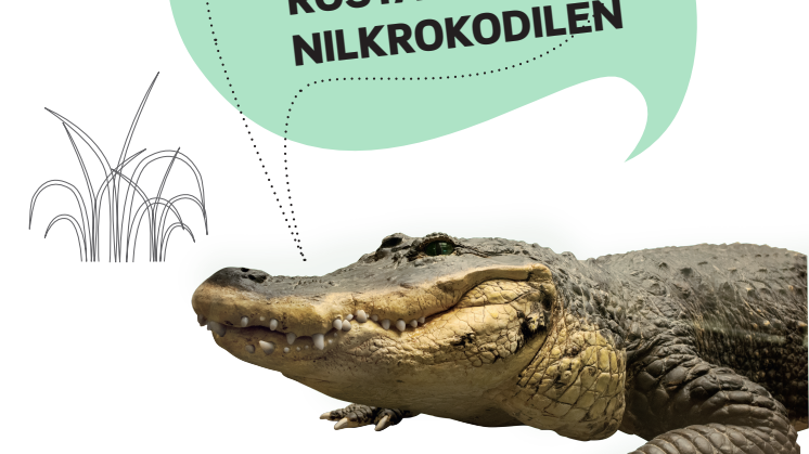 VALÅR PÅ GÖTEBORGS NATURHISTORISKA MUSEUM