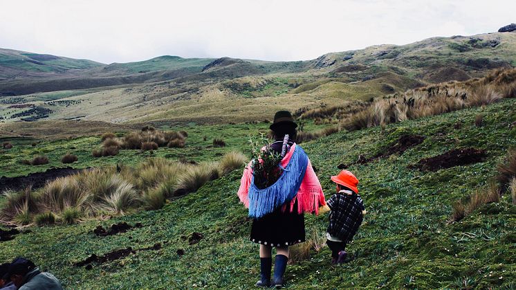WMF-Kaffeekultur international: Ecuador - Spitzenqualität unter schwierigen Umständen