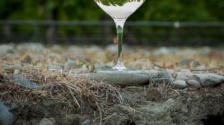 Stoneleigh lanserar senaste årgångarna av single vineyard vinerna från Rapaura – elegant kvalitet från Nya Zeeland