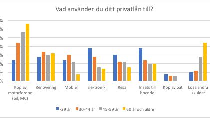 Översikt över vad svenskarna använder sina privatlån till.