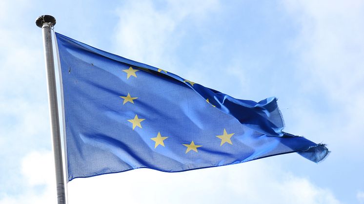 Europeisk flagga