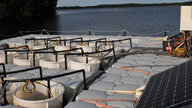 Forskningsstation Bolmen