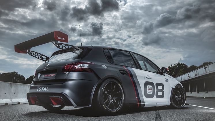 PEUGEOT 308 Racing Cup: Skabt til race!