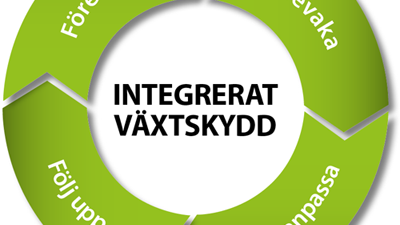 Logotyp-IPM