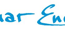 Logotype, PMS 2995