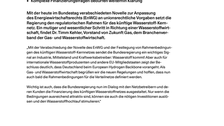111023_Pressestatement TK_Novelle EnWG_final.pdf
