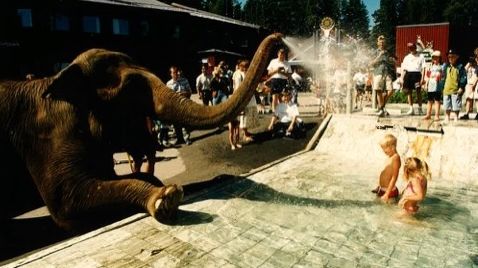 Elefant pool.jpg