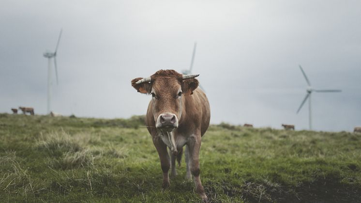 Nature Action 100 announces companies, start of investor engagement process to catalyze greater action on nature loss