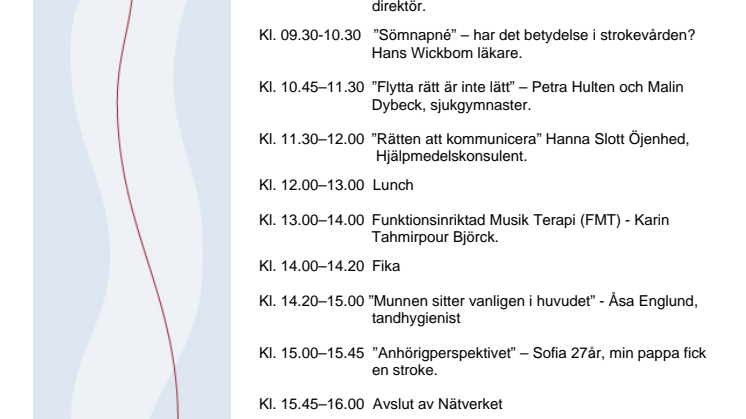 Program Strokeseminarium 2014