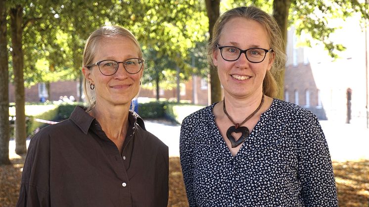 lotta-lena