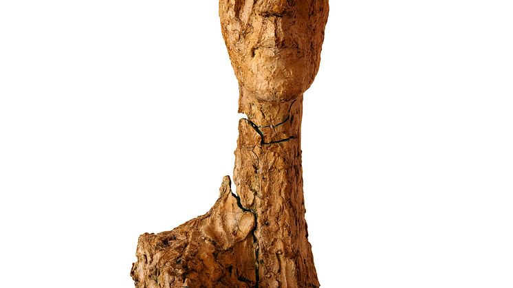 Barbara Schnetzler Koenig