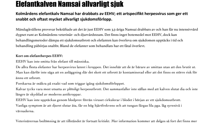 Elefantkalven Namsai allvarligt sjuk
