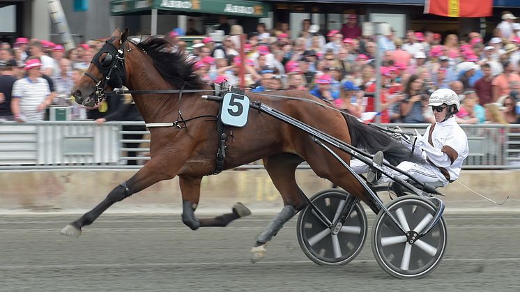 Dijon på Solvalla 2017. Foto: Lars Jakobsson/TR Bild