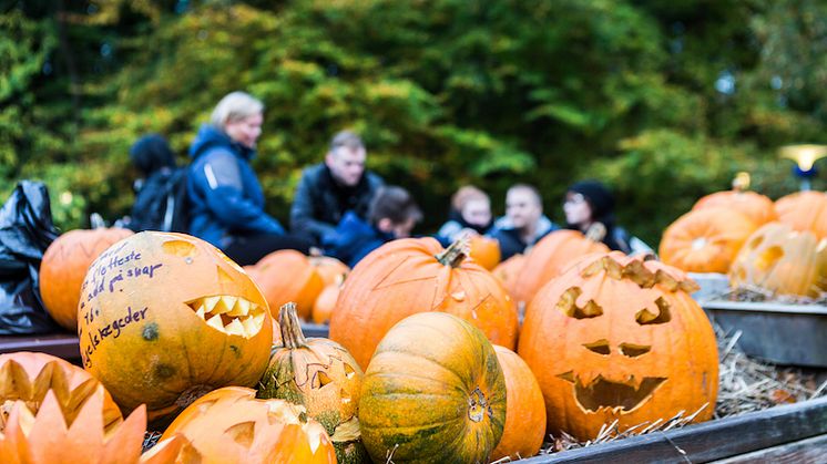 Halloween i Tivoli Friheden