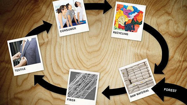 CelluTex – en påverkansplattform för textilmaterial från skogsråvara