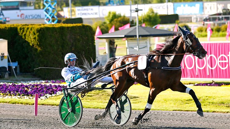 Seismic Wave klar för Elitloppet 2021