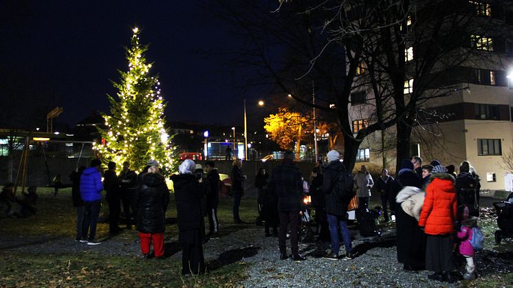 Mange barn og voksne møtte opp for å bli med på tenning av julegranen i Dælenenggata. Foto: Anine Johnsen