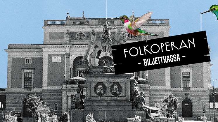 Vilken plats passar bättre än Gustav Adolfs torg för en fantasibutik i Don Quijotes anda?