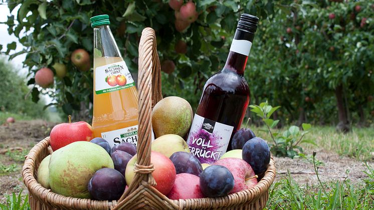 Der Förderverein "Obstland" e.V. konnte die Jury beim Innovationswettbewerb Tourismus überzeugen und gewann den Hauptpreis - Foto: Obstland Dürrweitzschen AG