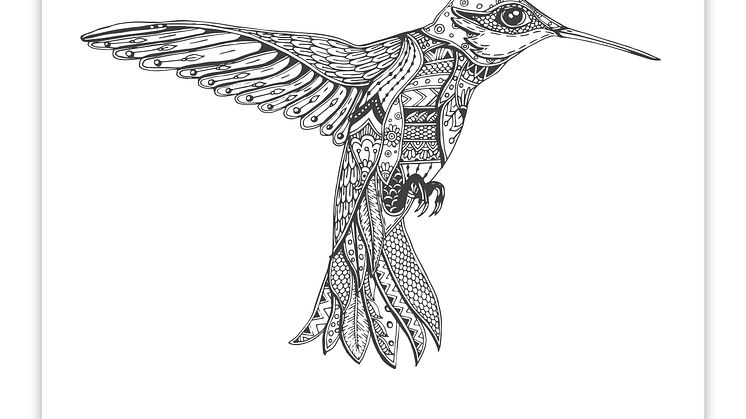 Hummingbird