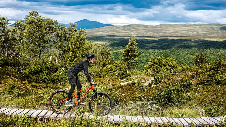 Flowtrail, cykling