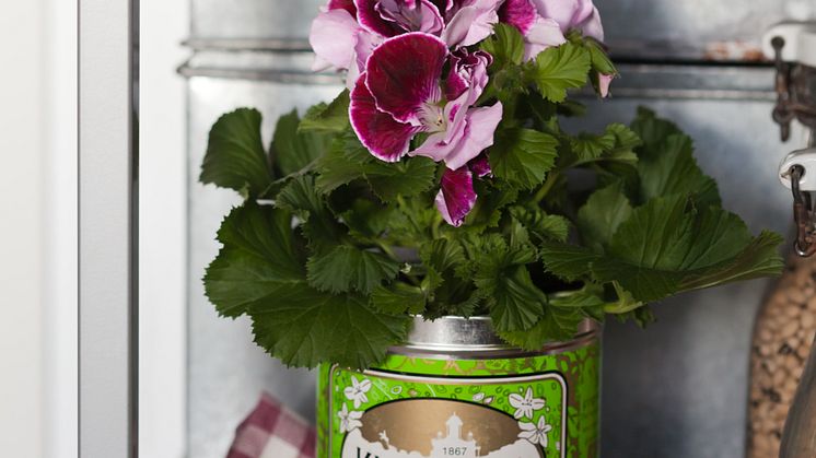 Trädgårdstrend 2013 - flärdfulla blommor!