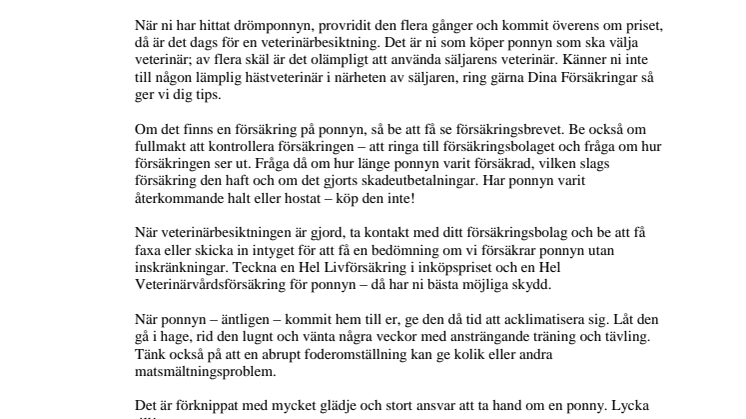Hur du gör när du ska köpa ponny