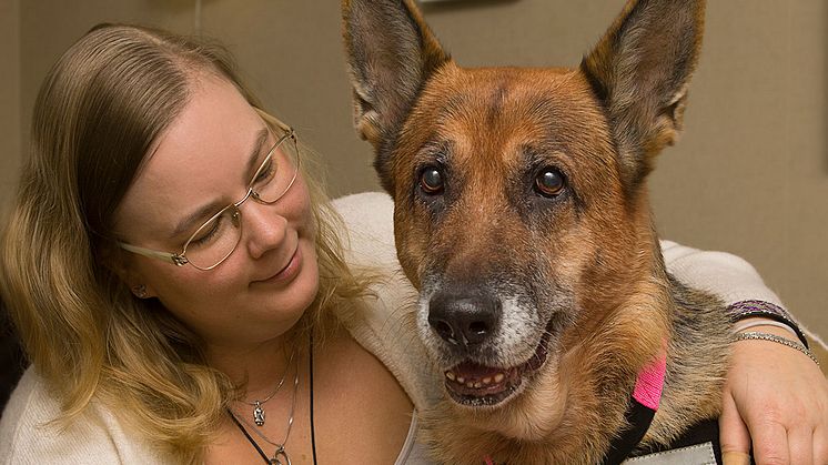 Årets sociala tjänstehund Citrine tillsammans med matte Sofia Björklund.