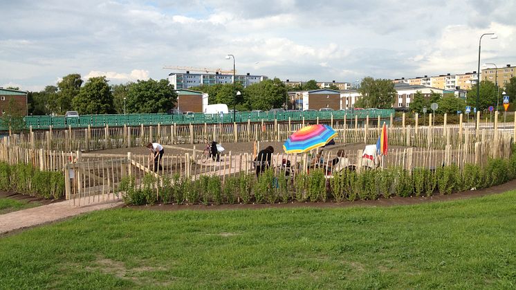 Hyllieranka runt Malmös nya badhus
