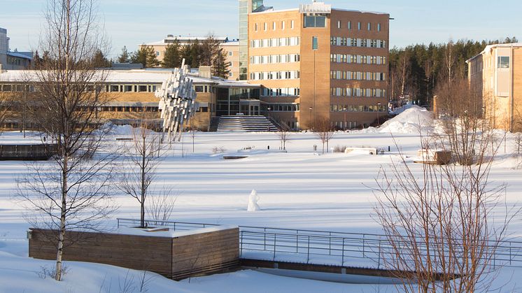 Vinter Campus Umeå universitet