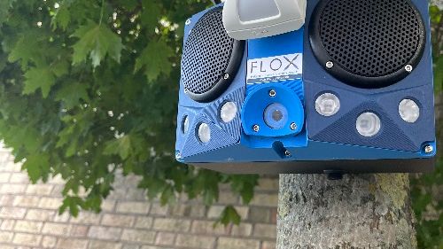 FLOXfixed (2)