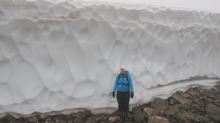 Snölega_2 september 2014.JPG