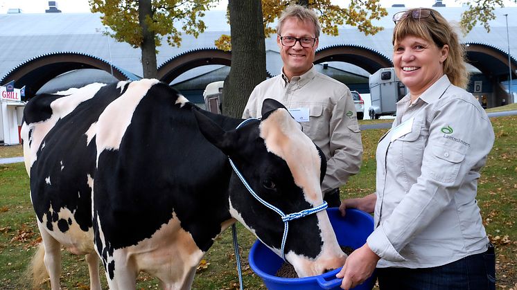 Lyckat byte till nytt Nötfor