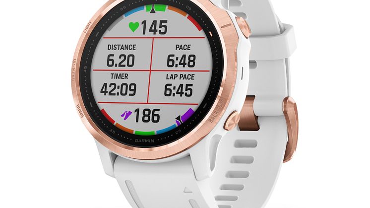 fenix 6S PRO