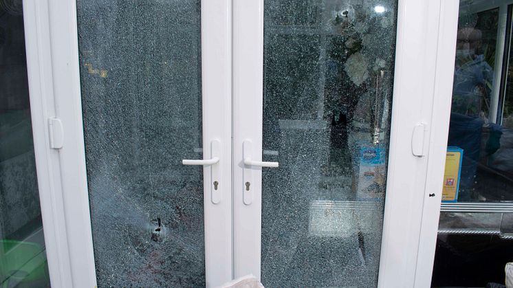 Damage to kitchen door 2.jpg