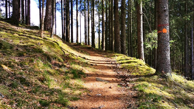 ​Hitta enkelt ut i naturen – nu lanseras Halmstads digitala friluftsguide
