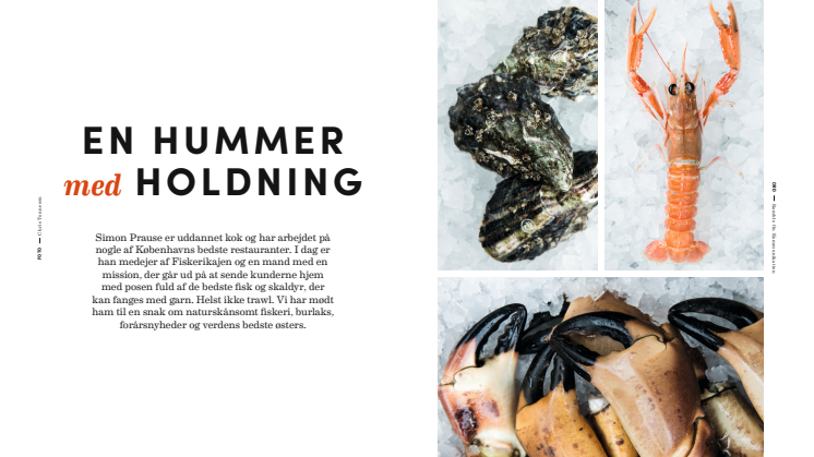 Artikel: En hummer med holdninger