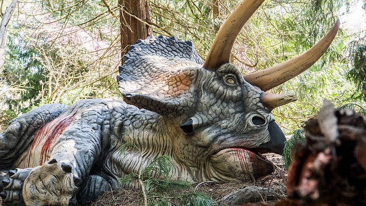Knuthenborg Safaripark:  Dinosaurier-Wald - Triceratops 