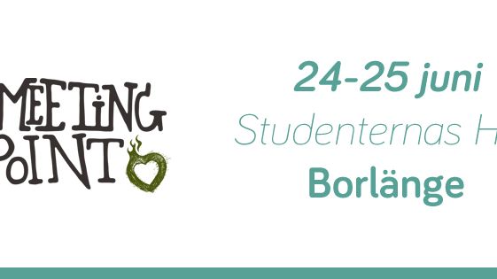 Var en del av lösningen på The Meeting Point 24-25 juni i Borlänge! #tmp13