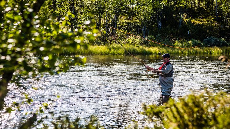 Fiske i Lofsdalen