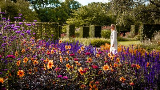Sommarflor_rabatt_MattiasBerglund