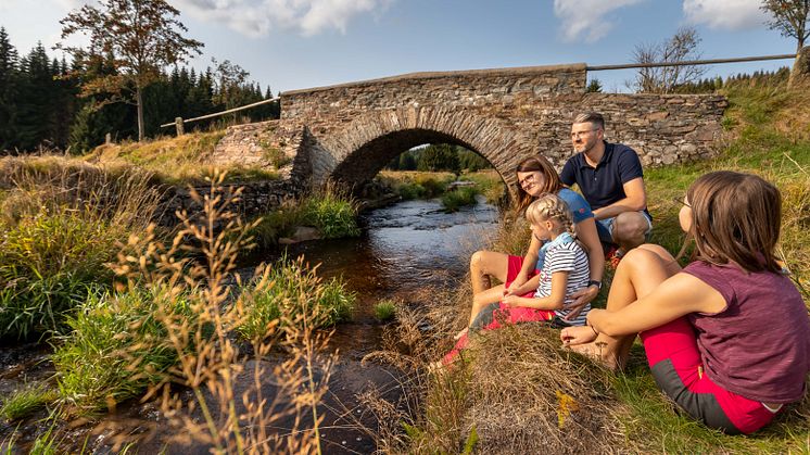Natur pur im Schwarzwassertal (Foto: TVE/Uwe Meinhold)