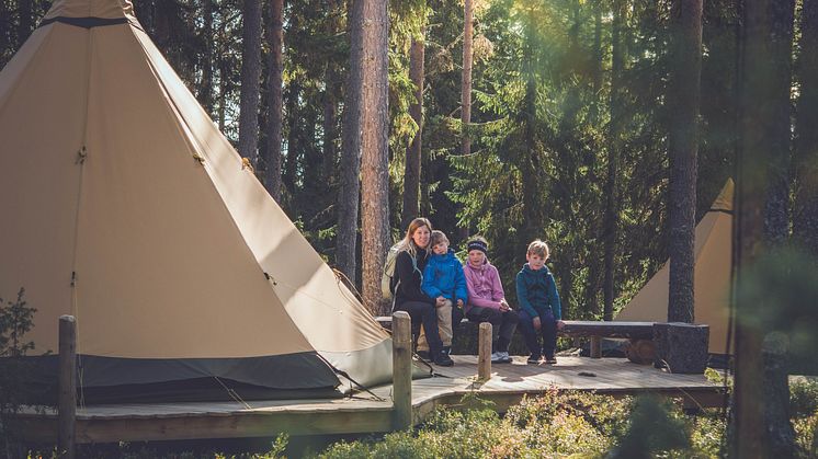 Expedition Vargnatt på Vildriket_Högupplöst