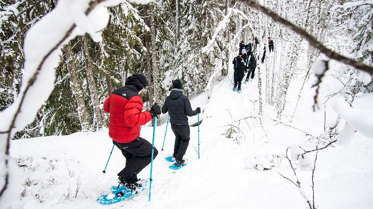 snöskovandring med Upplev Järvsö